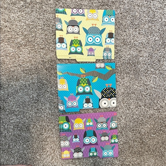 12 Colorful Owl Patterned Folders - Picture 1 of 4